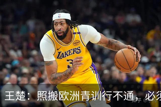王楚：照搬欧洲青训行不通，必须培养出有自主决策能力的球员